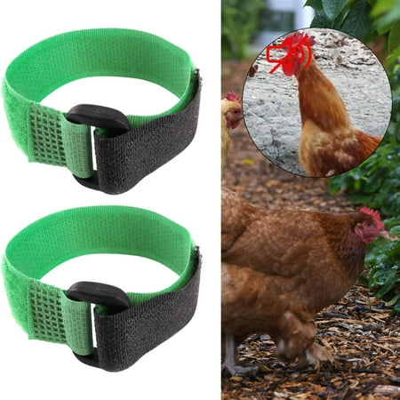 2 Pieces Crow Collar Belt Noise Collar No Noise Green