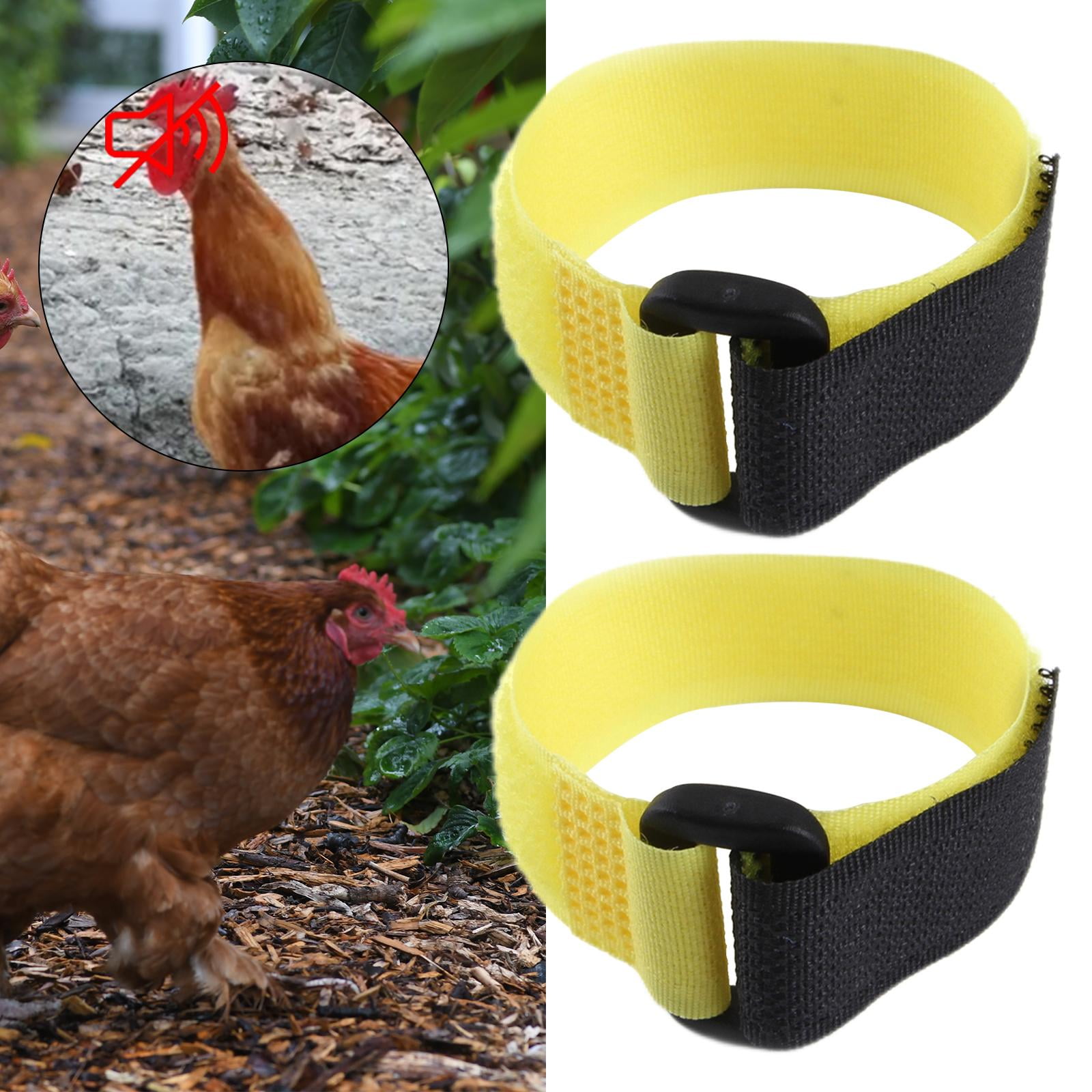 2 Pieces Crow Collar Belt Noise Collar No Noise Yellow