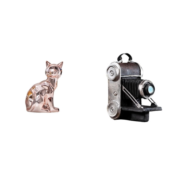2 Pieces Desktop Figurine Cat Ornament Camera Model Crafted Resin for Living Room Office Bookshelf
