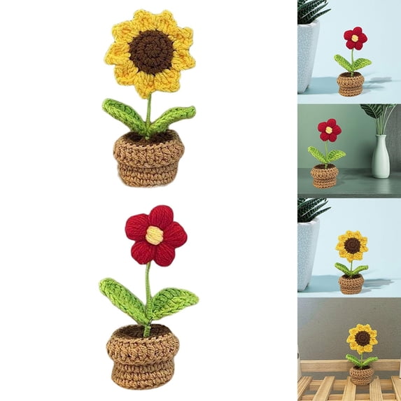 2 Pieces Handmade DIY Beginner Crochet Small Pot Crochet Craft Set Including Style A