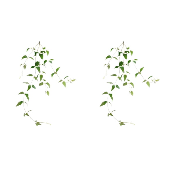 2 Pieces Large Succulents Plants Artificial Rattan Garden Decoration