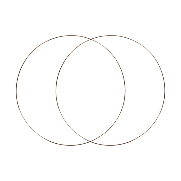 2 Pieces Metal Floral Hoop Large Circle Craft Hoop Rings Gold Wire Iron for Home Office DIY Decor