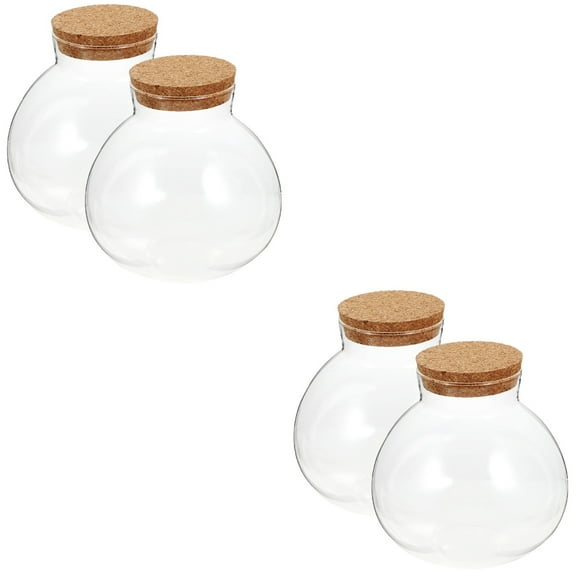 2 Pieces Micro-landscape Bottle Airtight Cookie Jar Eco