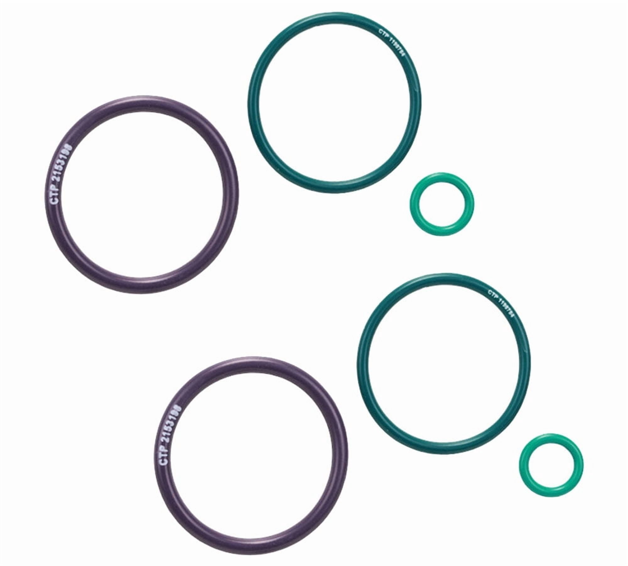 2 Pk Fuel Injector O-Ring Kit Compatible with American Coach, Country ...