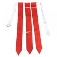 thumbnail image 1 of 2 Player Adjustable Flag Football Set - 3 Flags per belt, 6 Flags total for Adults and Youth, 1 of 9