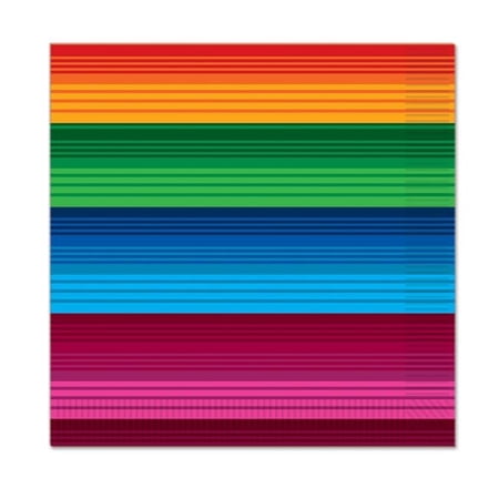 2 Ply Fiesta Beverage Napkins - Pack of 12