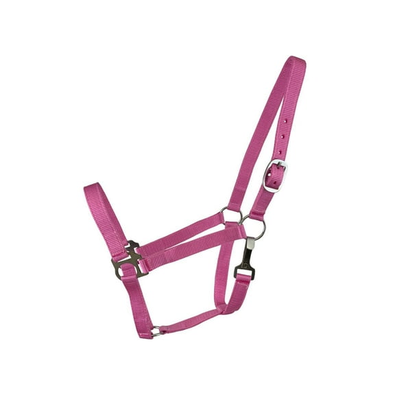 2-Ply Nylon Cob Halter
