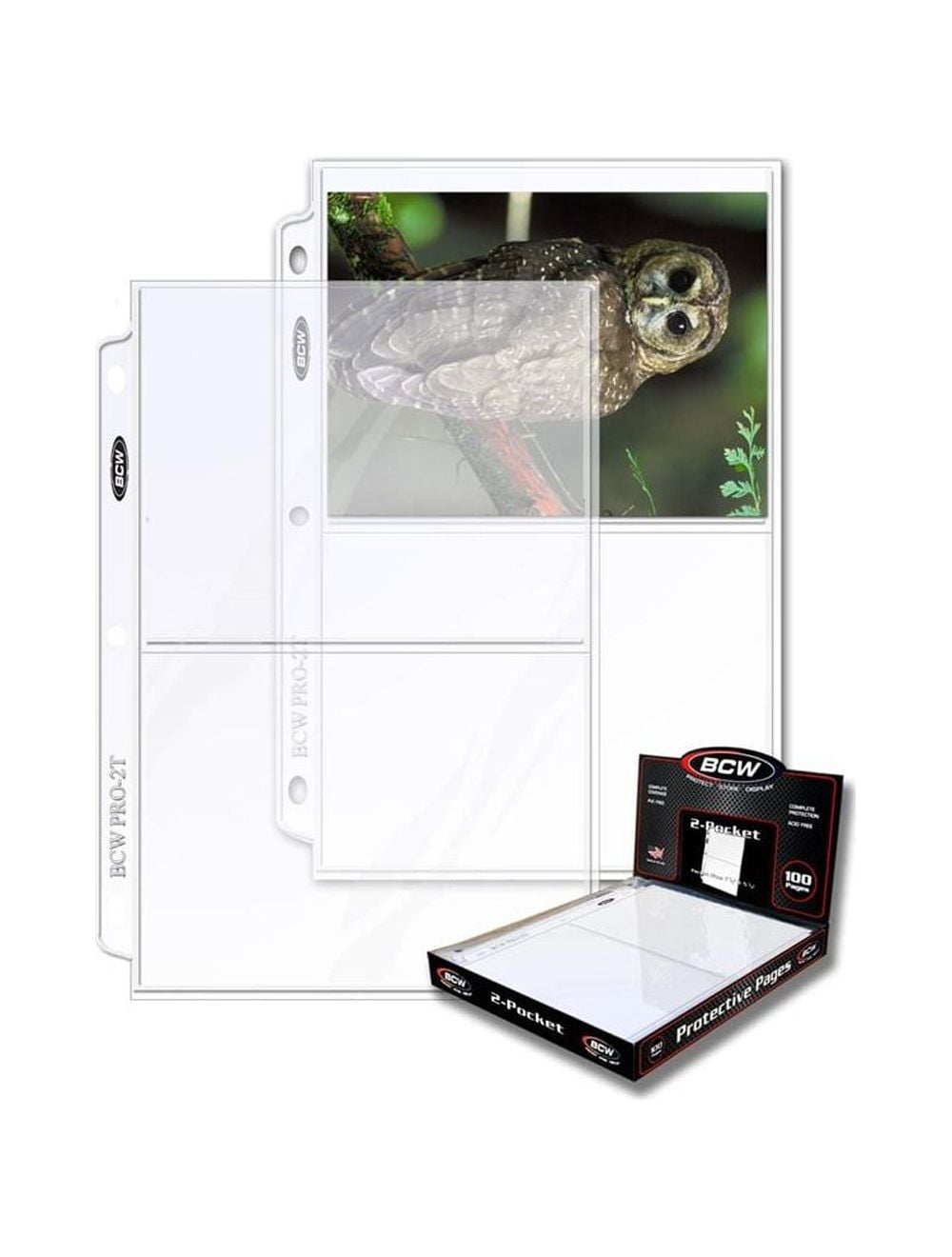 Dunwell 8x10 Photo Album Binder with Clear Sleeves- (Ruby), Art Portfolio Binder for 8 x 10 Pictures, 24 Pockets Display 48 Pages, Great for Kids