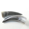 thumbnail image 1 of 2 Polished Cow Horns #213-1 Natural colored, 1 of 4