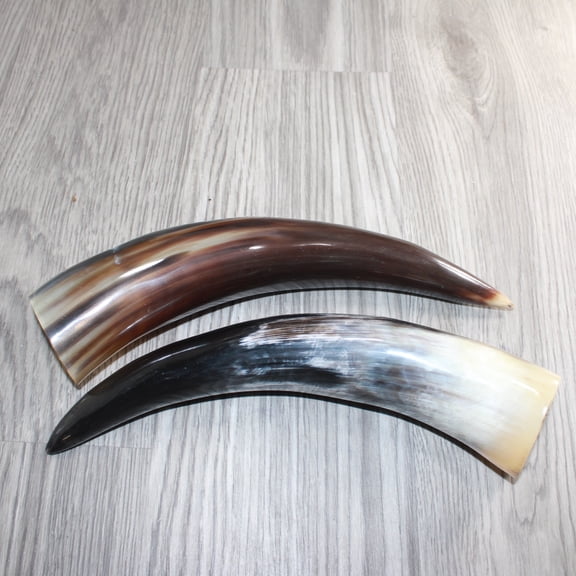2 Polished Cow Horns #967b Natural colored