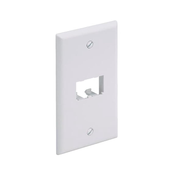 2-Port Classic White Faceplate