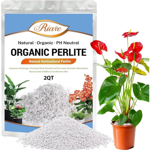 2 Quarts Organic Perlite for Plants - Horticultural Perlite Soil Amendment for Plants Potting Mix, Natural Chunky Perlite Soil Additive Conditioner Improve Root Growth, Drainage and Ventilation