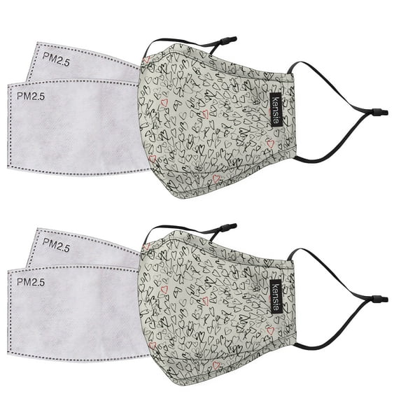 2 Re-Usable/Washable Fashion Masks with 4 Replacement Filters