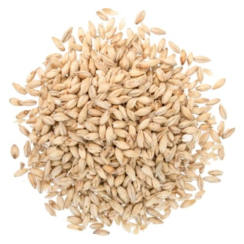 2 Row Barley Malt for Home Brewing Beer - 1 lb - CRUSHED (Pre-Milled)