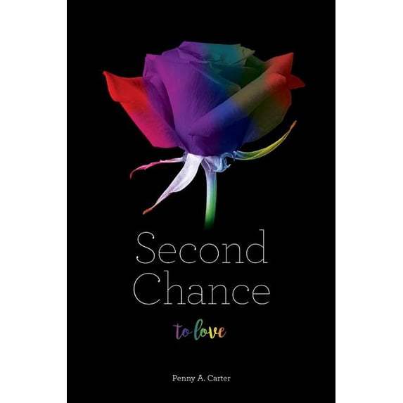 Don't Ask, Don't Tell Second Chance To Love, Book 2, (Paperback)