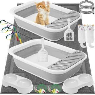Kitten Starter Kit