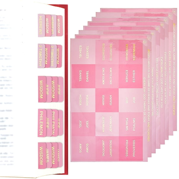 2 Set 6 Sheets PP Paper Index Tabs Marker Stickers Memo Pad for Reading Hot Pink 212x136.5x0.2mm