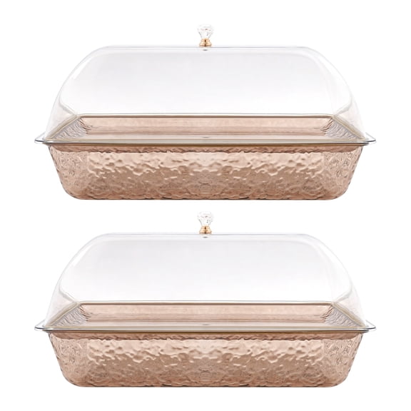 2 Set Chilled Serving Tray, Ice Cooling Platter, Cold Food Server for Parties Shrimp Sushi Fruit (Amber Gold)