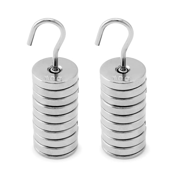 2 Set Slotted Weight Set, 100g Metal Slotted Weights with Hangers, Lab Slotted Mass Set for Physics Experiments, Force Measurement and Calibration - 9 Weights (10g) & One Hanger (10g)
