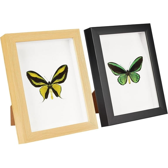 2 Sets 2 Color Natural Wood Photo Frames Glass Display Pictures with Plastic Non-Trace Wall Hooks for Tabletop Display Photo Frame Rectangle Mixed Color 23x18x3.1cm 1 set/color