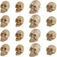 thumbnail image 1 of 2 Sets 40Pcs Mini Figurines Resin Terrifying Head Statue Ornament Miniature Small Skulls Table Decor Micro Landscape Figure, 1 of 6