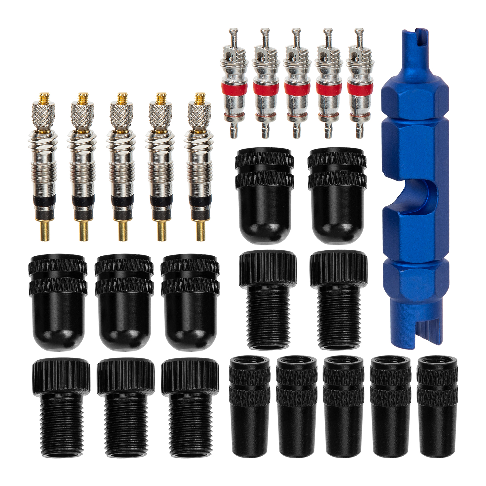 2 Sets Bicycle Valve Core The Tools Nozzle Caps Bike Convert Joint