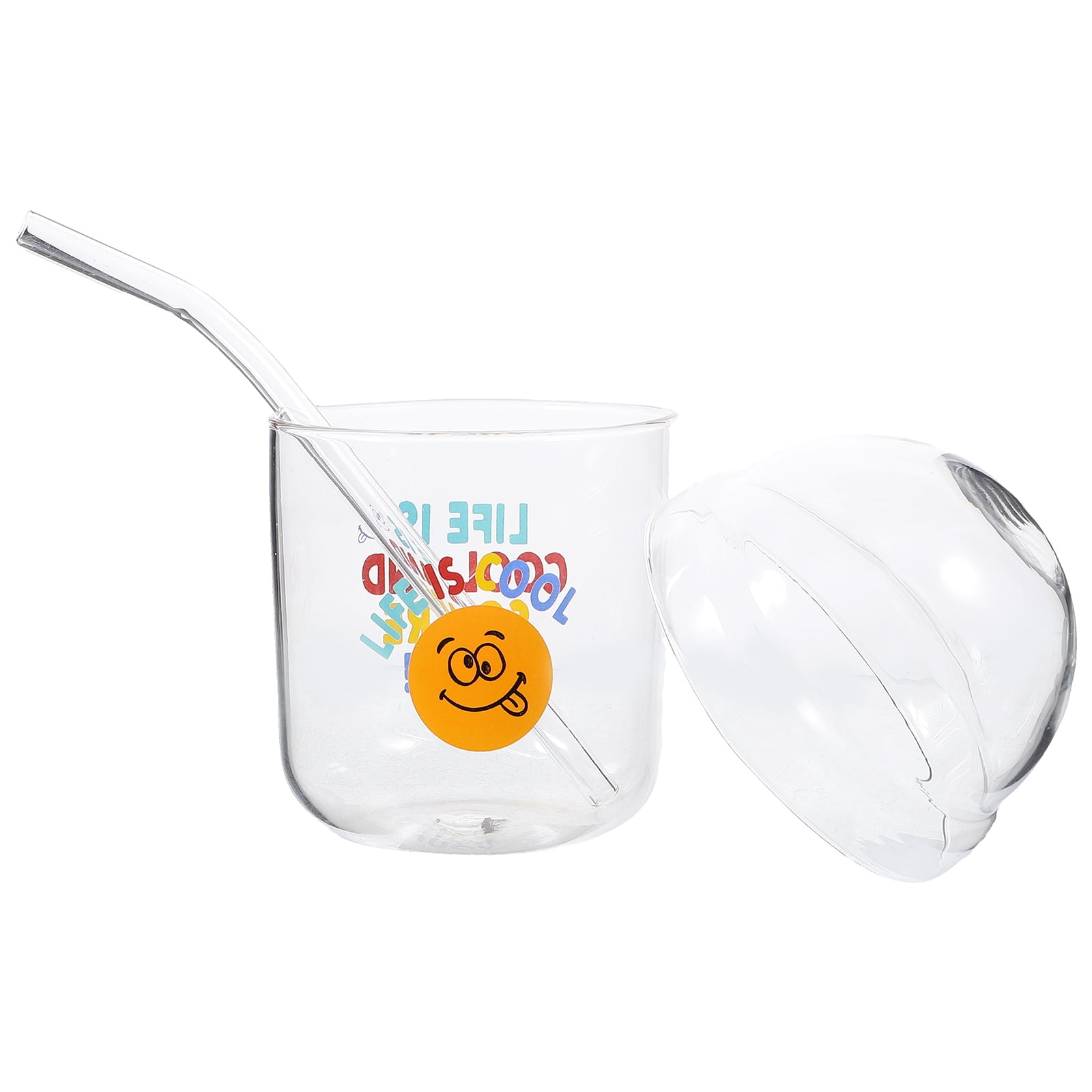 2 Sets Clear Water Bottle Straw Water Bottle Straw Coffee Cup Glass