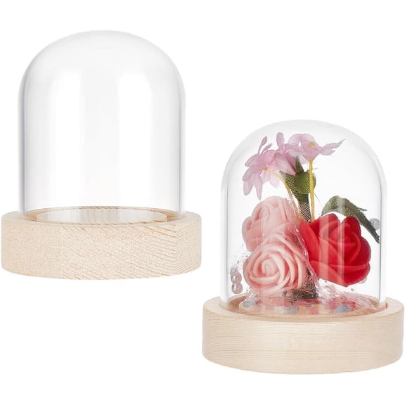 2 Sets Glass Display Dome 2.42" in Diameter Round Glass Display Dome Glass Cloche Dome Clear Glass Display Dome Cover with Wood Base