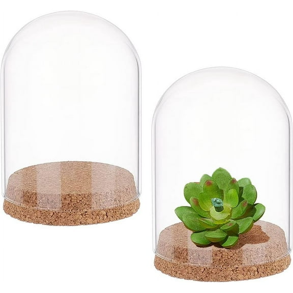 2 Sets Glass Dome with Cork Base 4.72x3.54 Eternal Flower Glass Display Dome Cloche Half Round Clear Glass Display Case Decoration Cloche Bell Jar Cloche
