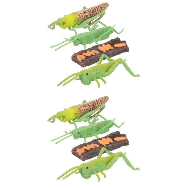 2 Sets Grasshopper Growth Cycle Imaginative Play Toy Kids Child