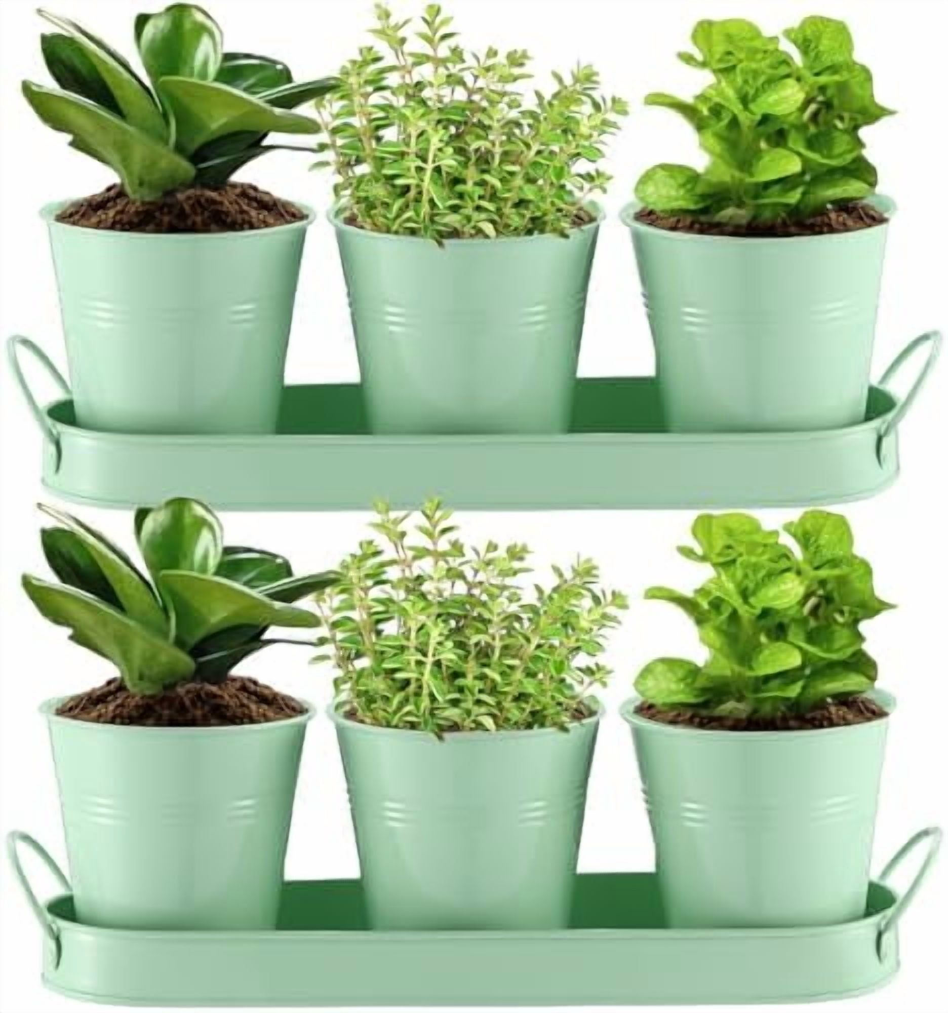 2 Sets Herb Planter with Tray Metal Herb Garden Planter with Drainage ...