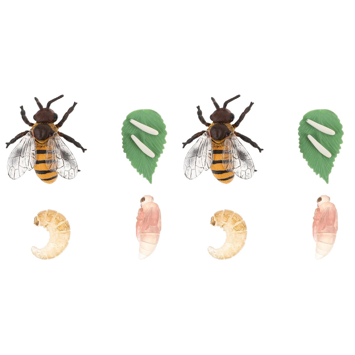 Hytrove Plastic Honey Bee Growth Cycle Models Natural Science Education ...