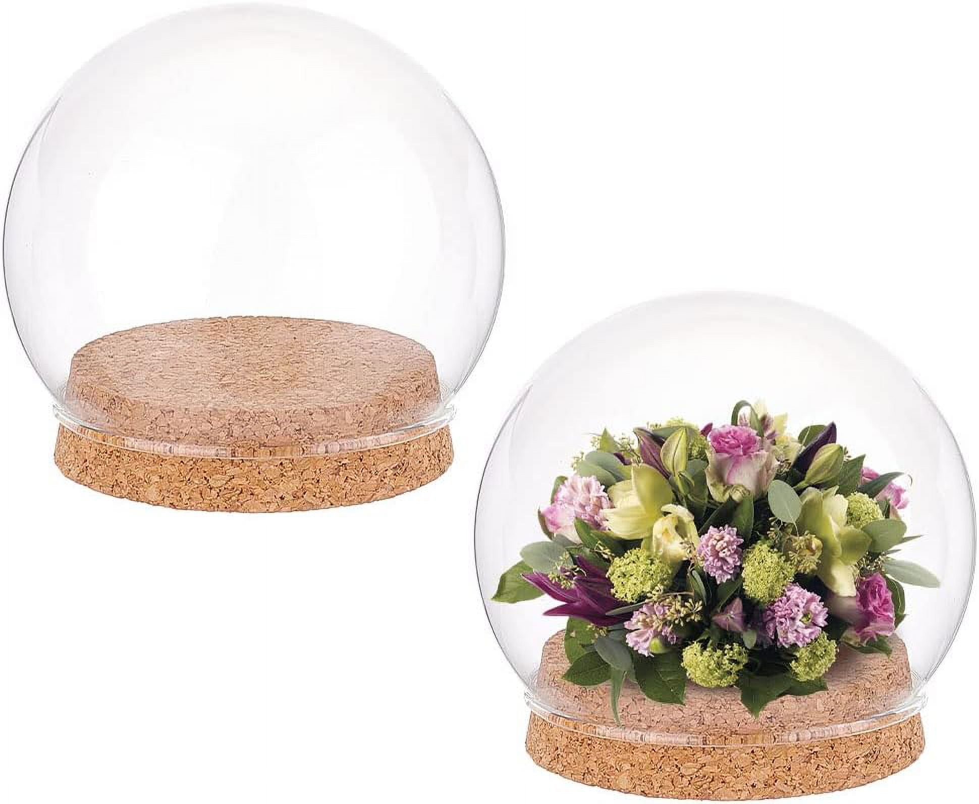 2 Sets Round Glass Display Dome Mini Glass Cloche Dome Clear Glass