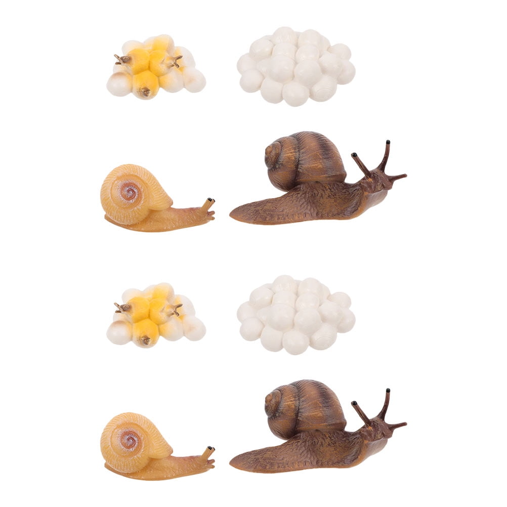 2 Sets Snail Growth Cycle Figurine Insect Growth Cycle Life Cycle Of A Snail Life Stages Model
