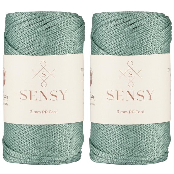 2 Skeins of Sensy Premium 3mm 131 Yards Polyester Rope 100% Polypropylene Cord Macrame Cord 3mm Crochet Bag Cord Macrame Rope Crochet Thread Gift for Knitter (Sage)