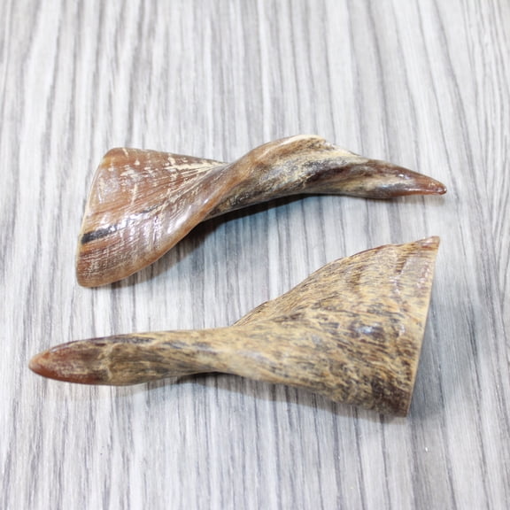 2 Small Polished Goat Horns #3046 Natural Colored