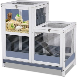 Guinea Pig Cage Two Pigs
