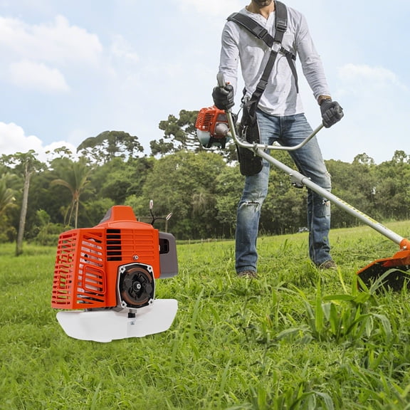 2-Stroke Petrol Motor Gasoline Engine 63CC Air-cooled Single-cylinder 1L Engine for Agricultural Equipment