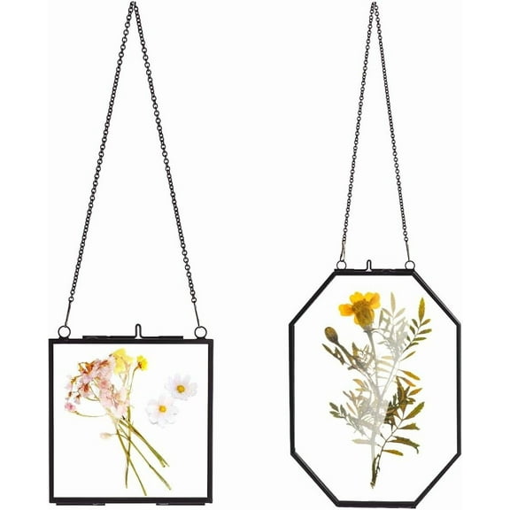 2 Styles Pressed Flower Glass Picture Frames Vintage Hanging Picture Frames with Chain Handmade Plant Specimen Wall Photo Ornament Display