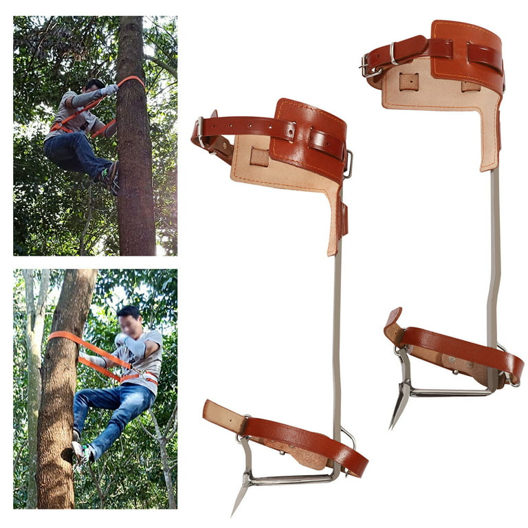 2 Teeth Pole Climbing Spurs Adjustable Safety Belt Tree Climbing Spike Tool  