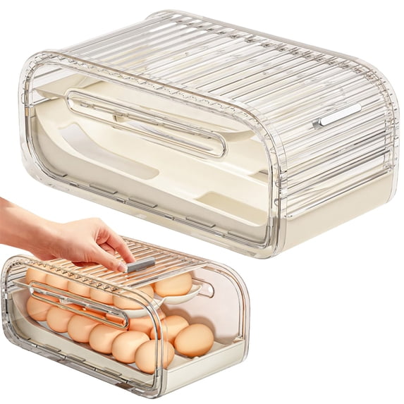 2 Tier Automatic Rolling Egg Holder for Fridge, Egg Dispenser Container with Sliding Lid Holds 22 Eggs, Removable Egg Holder for Kichen Pantry Cabinet, Refrigerator Organizers and Storage, Clear