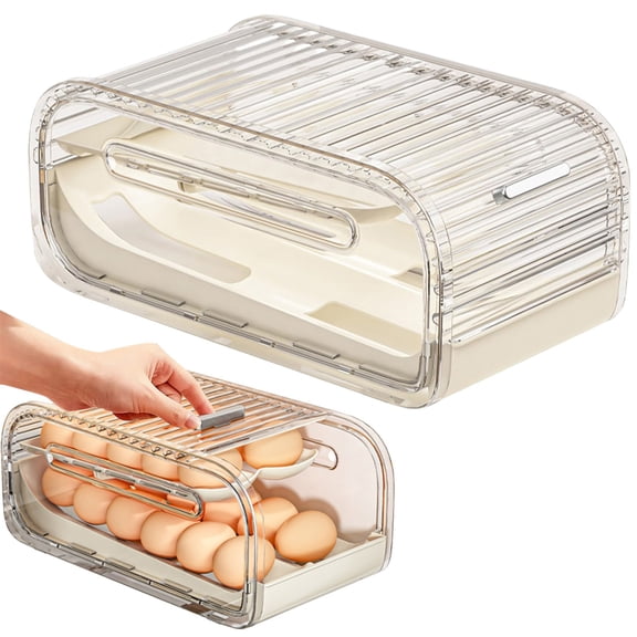 2 Tier Automatic Rolling Egg Holder for Fridge, Egg Dispenser Container with Sliding Lid Holds 22 Eggs, Removable Egg Holder for Kichen Pantry Cabinet, Refrigerator Organizers and Storage, Clear