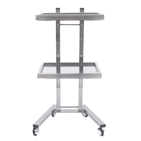 2 Tier Cart Rolling Trolley Beauty Salon Storage Cart Holder Stand Silver
