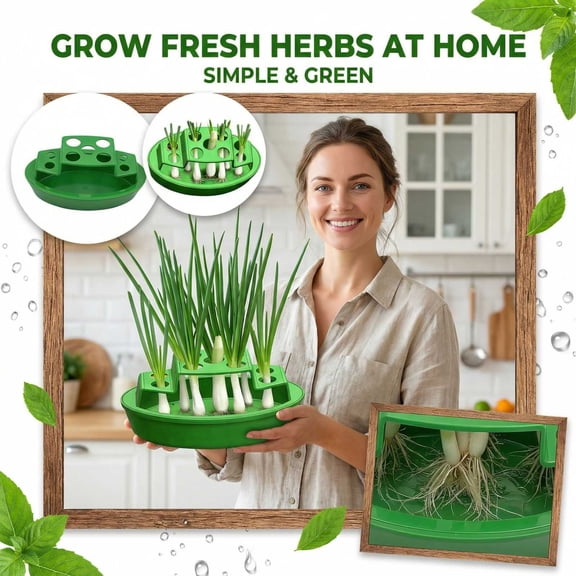 2-Tier Scallion Hydroponic Planter - Soil-Free Indoor Herb Garden Kit, Automatic Water Culture Regrow Box for Recycling Green Onions & Chives