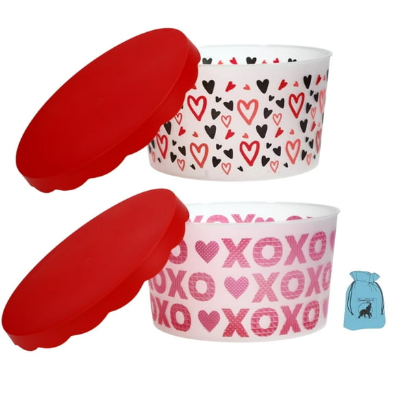 (2) Valentine's Day Printed Plastic Containers with Lids 8x4.5 In for Snack Candies Party Favor Treats Storage Round Jars Home Kitchen Buckets Cabinet Organizer Gift Set (Assortment May Vary)