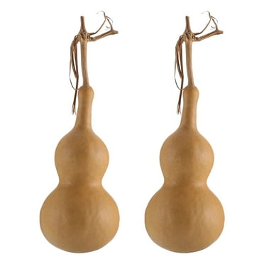 2 Water Bottles with Gourd Filter & Adornment for Home & Photography Props