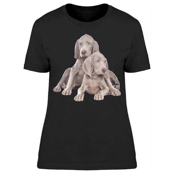 2 Weimaraner Pups Laid Down T-Shirt Women -Image by Shutterstock, Female XX-Large