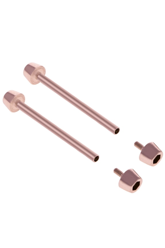2 X FOR TISSOT T-RACE T048417A / T048427A 21MM BAND PIN FASTENING SCREW ROSE