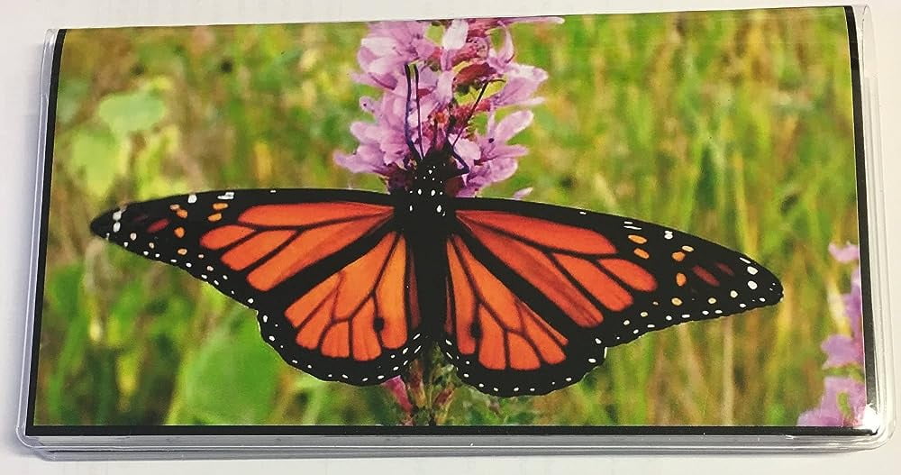 2 Year 2024 2025 Pocket Calendar Planner with Note Pad (Monarch Photo