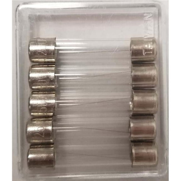 2 amp Fuse, Pack of 5